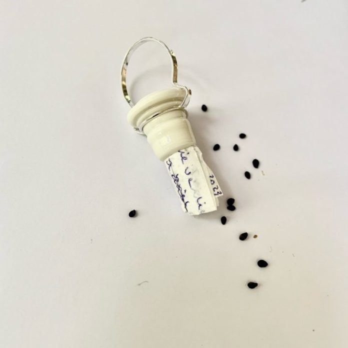 Judith Bloedjes -Lieve Li - Porselein, zilver, japans papier Nigella zaad. Fotografie: Rob Ouwerkerk. Judith Bloedjes -Lieve Li - Porselein, zilver, japans papier Nigella zaad. Fotografie: Rob Ouwerkerk.