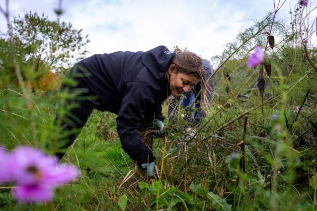 Vrijwilligers aan de slag. Fotografie: Yorinde Diepstraten.