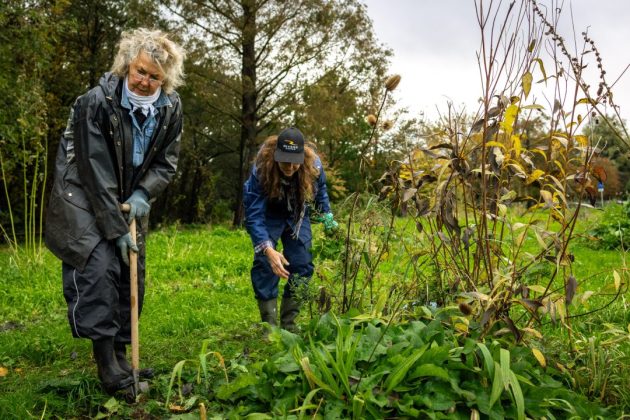 Vrijwilligers aan de slag. Fotografie: Yorinde Diepstraten.