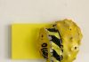Boring…But Exciting Lisbeth Parisius, Yellow, 2021, verpakkingsmateriaal.