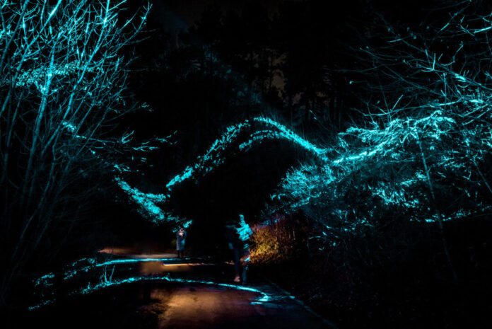Licht festival blauw