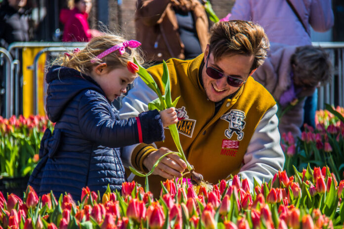 Bloemenmarkt en tulpenpluktuin. Ingezonden foto Haarlem Marketing.