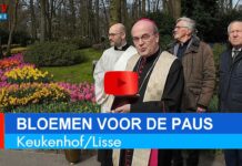Bloemen vanaf Keukenhof onderweg naar Sint-Pietersplein
