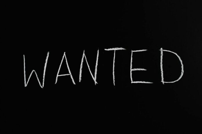 Stock wanted gezocht Stock wanted gezocht
