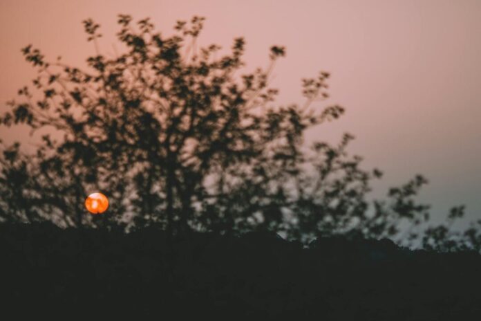 Photo by Maria Orlova on Pexels