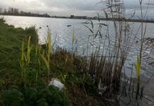 Opschonen oevers van het Spaarne