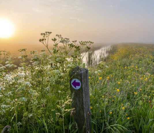 Noord-Hollandse Natuurdag: inspirerende sprekers delen ontdekkingen uit de natuur Zeerijdtsdijkje. Fotografie: Ronald van Wijk.