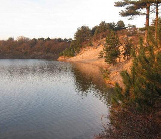 IVN Zuid-Kennemerland: Rondje Oosterplas Rondje Oosterplas. Ingezonden foto IVN Zuid-Kennemerland.
