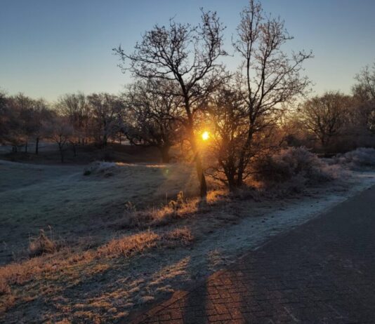 Wintertijd start ook in Nationaal Park Zuid-Kennemerland Winter wandelpad Kennemerduinen.