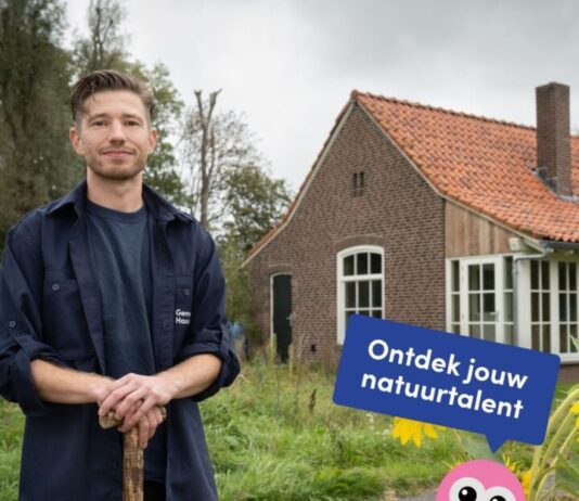 Workshop Paddenstoelenstammen maken & Bomen planten op de Schotertuin Ingezonden foto.