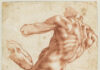Verwacht: De mannen van Michelangelo in Teylers Museum Michelangelo Buonarotti (1475-1564), Figuurstudie voor een ignudo in de Sixtijnse Kapel, ca. 1511, rood krijt op papier. Collectie Teylers Museum.