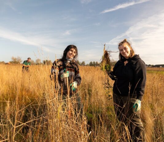 Betrekken bij Groen Fonds opent vanaf 6 januari 2025 voor groene initiatieven vrijwilligers aan de slag voor meer biodiversiteit – Landschap Noord-Holland Yorinde Diepstraten