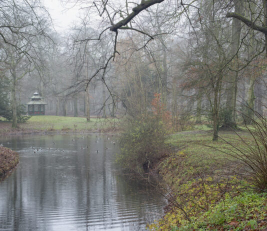 Kerst- en winterexcursie Landgoed Velserbeek Fotografie: ©Ronald Cassee IVN-ZK.