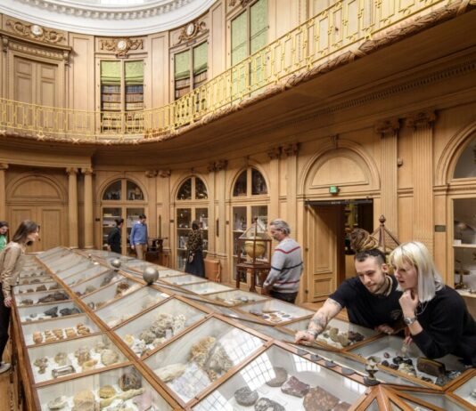 Zeer succesvol jaar voor Teylers Museum De Ovale Zaal van Teylers Museum.
