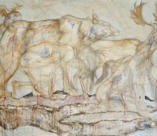Tentoonstelling Boven Natuur neemt de bezoeker mee in de wereld van het onverklaarbare Emma van Drongelen Metamorphosis detail.