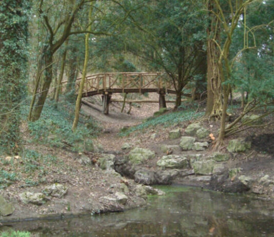 Voorjaarswandeling: stinzenplanten en de sporen van Linnaeus