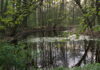 Lentewandeling in het Bennebroekbos Lentevijver. Fotografie: Jos Teeuwisse.