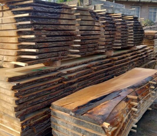 Hout uit Haarlem, ván Haarlem
