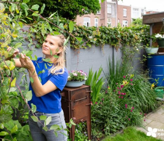 Week van de Groene Tuin breidt uit naar de Maand van de Groene Tuin in Noord-Holland Week van de Groene Tuin breidt uit naar de Maand van de Groene Tuin. Fotograaf Chantal Bekker