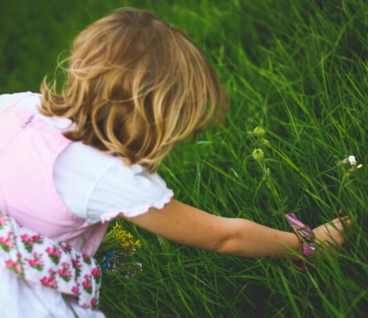 Anna Nooshin nieuwe ambassadeur Free a Girl: ‘Onderwijs en kansen veranderden mijn leven’ Photo by Karolina Grabowska on Pexels