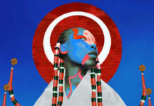 De Vishal: Een veld van eilanden