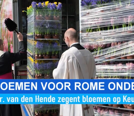 Bloemen vanaf Keukenhof onderweg naar Rome