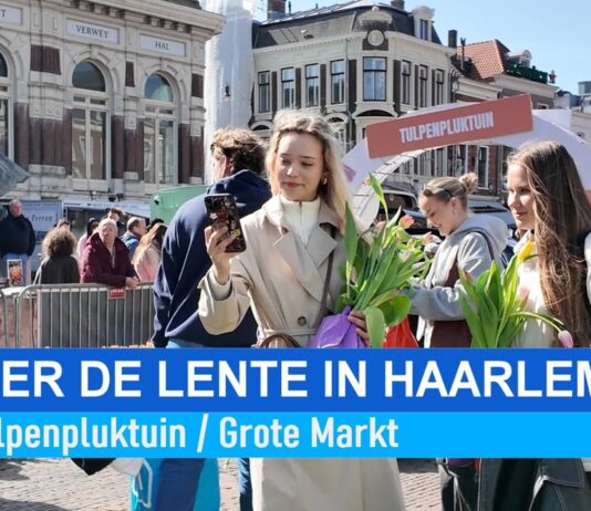 Vier de lente in Haarlem