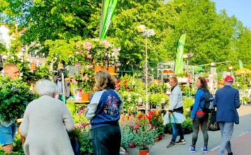 Haarlem maakt zich op voor de oudste nachtmarkt van Nederland: De Luilakmarkt