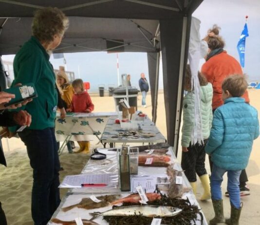 Zee-evenement voor jong en oud Ingezonden foto IVN Zuid-Kennemerland.