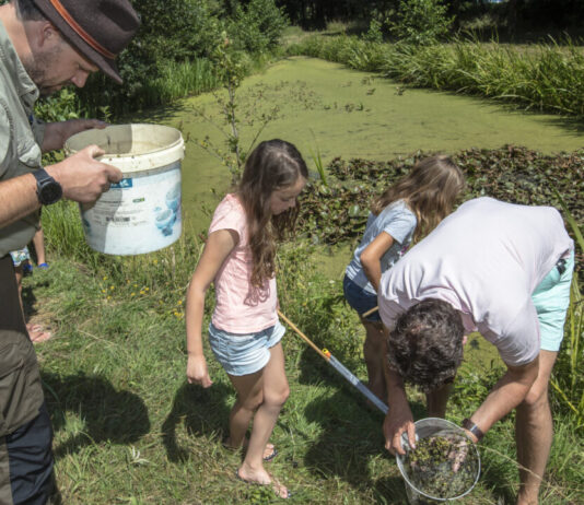 Waterbeestjes zoeken op Buitenplaats Leyduin Waterbeestjes scheppen - Dutchphoto.
