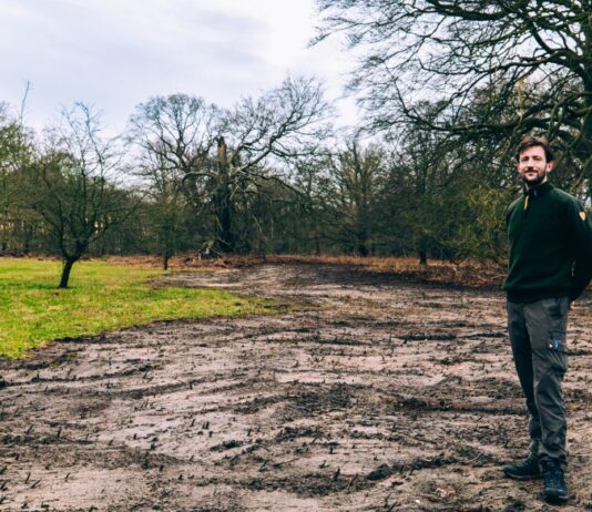 Leyduin en Woestduin brengen bijzondere soorten terug Boswachter Menko Dijkstra bij de werkzaamheden. Fotografie: Yorinde Diepstraten.