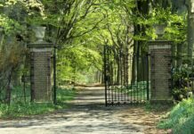 Wandeling Vinkenduin en Woestduin