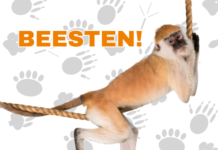 Centrum Schalkwijk presenteert: Beesten!