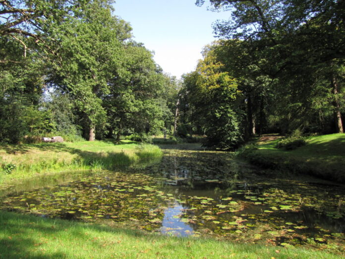 Landgoed Waterveld. Fotografie: Henk van Bruggen.