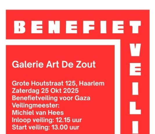 Bied mee voor het goede doel – unieke kunstveiling bij Art De Zout