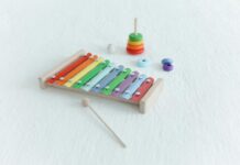 Toys Up zet Haarlem op de kaart als eerste circulaire speelgoedstad Photo by Polina Tankilevitch on Pexels