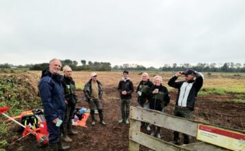 Stroop je mouwen op in het groen: Landschap Noord-Holland zoekt natuurvrijwilligers bij De Liede Vrijwilligers De Liede. Fotografie: Henk van Nieuwenhuizen.