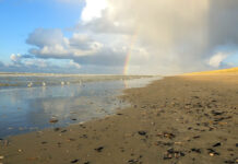 Strandexcursie Zuidpier IJmuiden