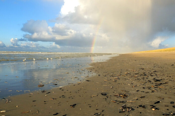 Strandexcursie IJmuiden