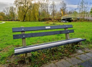 Spaarnelanden geeft circulaire bankjes cadeau Circulair bankje Jan Gijzenkade Haarlem. (foto: Toussaint Kluiters / United Photos)