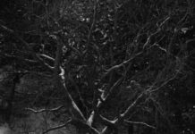 Nieuwe tentoonstelling ‘Black Snow’ – Het leven rondom Tata Steel verbeeld – Verwey Museum Haarlem Black snow - Harm van de Poel.