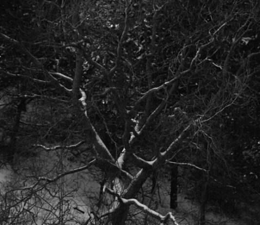 Nieuwe tentoonstelling ‘Black Snow’ – Het leven rondom Tata Steel verbeeld – Verwey Museum Haarlem Black snow - Harm van de Poel.