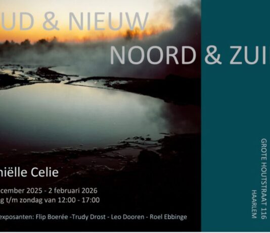 Expositie Daniëlle Celie bij galerie BHAMD
