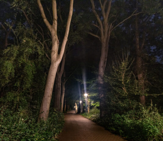 Provincie Noord-Holland vernieuwt beleid verlichting: licht waar het moet, donker waar het kan Ingezonden foto Provincie Noord-Holland.