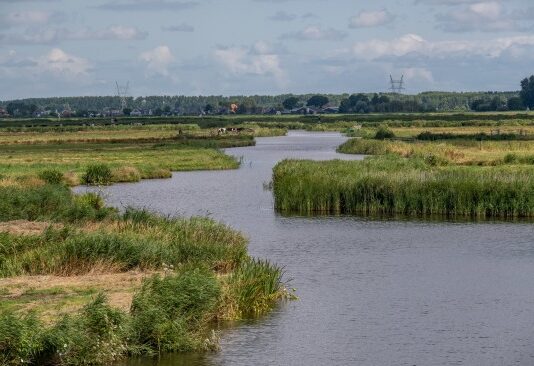 Grensaanpassingen van het natuurnetwerk in Noord-Holland ter inzage