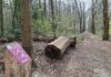 GGZ inGeest Bennebroek opent Kie-Fit beweegpad in naastgelegen bos voor cliënten en buurtbewoners