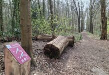 GGZ inGeest Bennebroek opent Kie-Fit beweegpad in naastgelegen bos voor cliënten en buurtbewoners