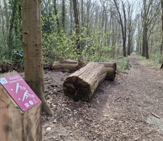 GGZ inGeest Bennebroek opent Kie-Fit beweegpad in naastgelegen bos voor cliënten en buurtbewoners