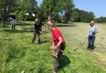 Groene doeners krijgen wind in de rug: 33 projecten van start in Noord-Holland Natuurrijk Ankeveen – Landschap Noord-Holland.