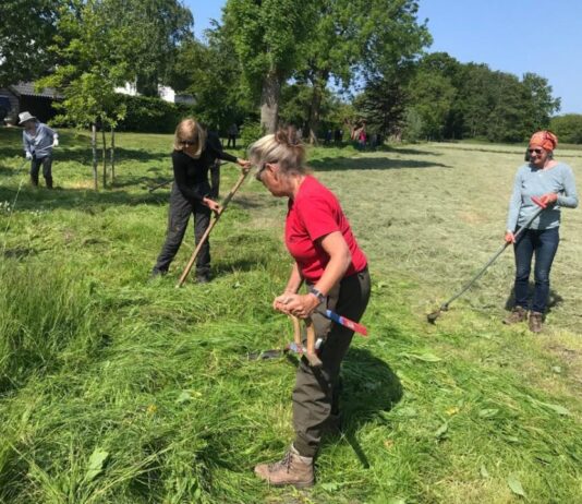 Groene doeners krijgen wind in de rug: 33 projecten van start in Noord-Holland Natuurrijk Ankeveen – Landschap Noord-Holland.